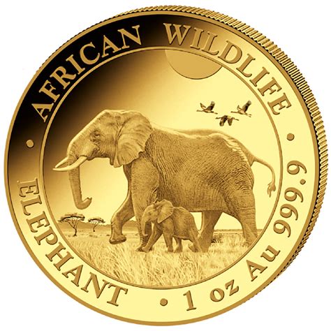 Ankauf Unze Oz Gold Somalia Elefant Goldm Nze