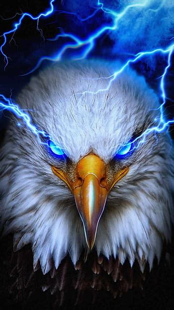 Eagle HD wallpapers | Pxfuel