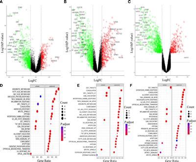 Frontiers Exploring The Molecular Mechanism Of Hepatitis Virus