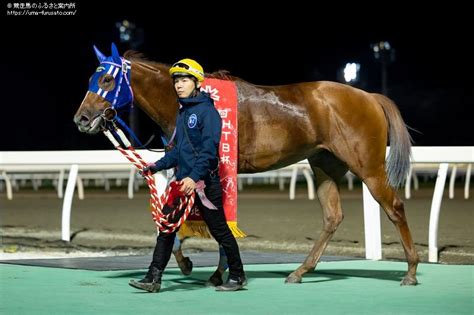 リリーカップはスティールグレイスが3馬身差で重賞2連勝を飾る 馬産地ニュース 競走馬のふるさと案内所