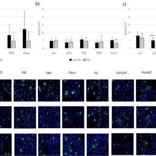 Phagocytosis Primary Porcine Rpe Cells Were Treated With G Ml Fv