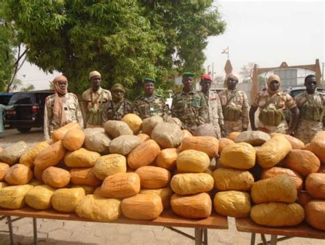 Niger Saisie dune importante quantité de drogues dune valeur de