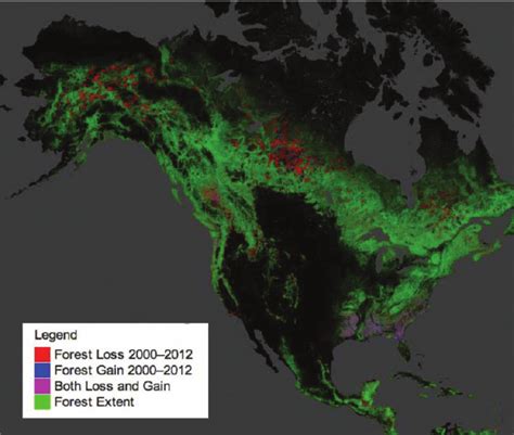 Global forest cover maps based on Landsat. Example of forest cover... | Download Scientific Diagram