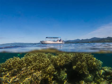 Ocean Ventures Fijiscuba Diving Savusavunatewa Bay Savusavu Fiji