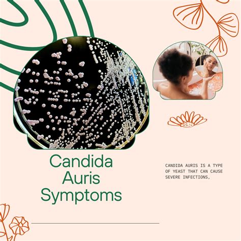 Candida Auris Symptoms | Young Earth Sanctuary