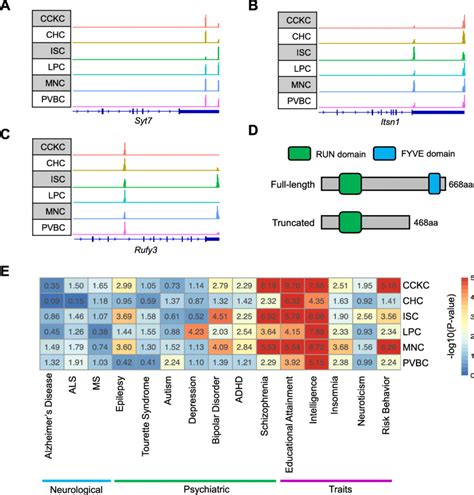 3 UTR And CDS Altered By Cell Type Specific APA Events A B Examples