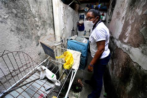 Jornal Correio Semana Municipal De Mobiliza O Contra O Aedes