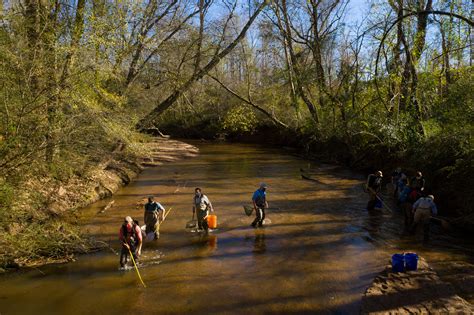 Tomorrow Asce Nature Based Solutions Sustainability Webinar Network