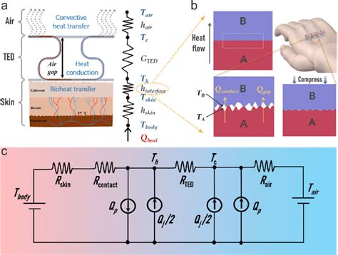 Thermal modeling. (a) Schematic illustration of the complete thermal ...