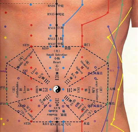 Stomach Acupressure Points Hot Sex Picture