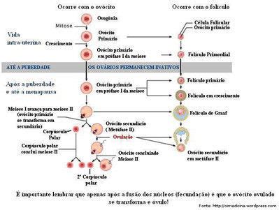 Reprodu O Humana Mind Map