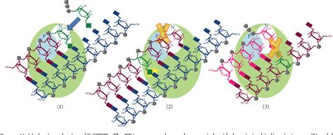 Figure From Hiv Reverse Transcriptase Still Remains A New Drug