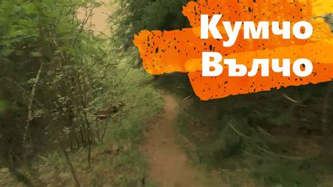 Кумчо Вълчо vs Чeрвената Шапчица - YouTube