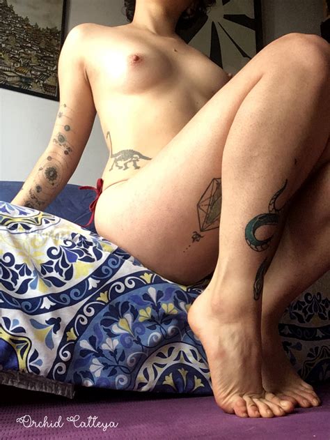 A Nice View Of Almost All My Tats Porn Pic