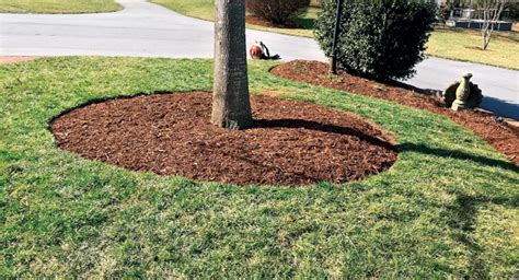 Step By Step How To Have A Successful Mulch Installation Tree Services Pensacola Fl