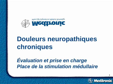 Pdf Douleurs Neuropathiques Chroniques Plan General