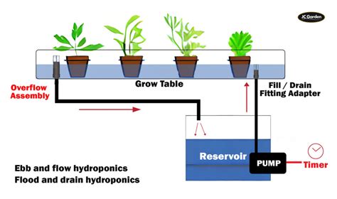 Ebb And Flow Hydroponics The Top Techniques For Optimal Growth Jc