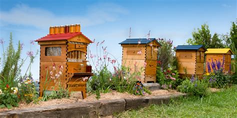 Flow Hive Takes The Hassle Out Of Honey Harvesting Global Possibilities