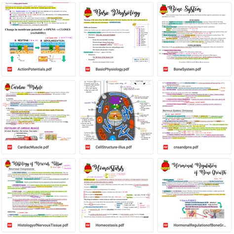 bundle anatomy  physiology set  etsy