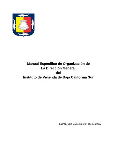 PDF Manual Específico de Organización de La Dirección General