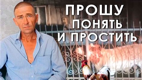 Прошу понять и простить - YouTube
