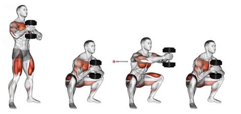 Dumbbell Press Squat Home Gym Review