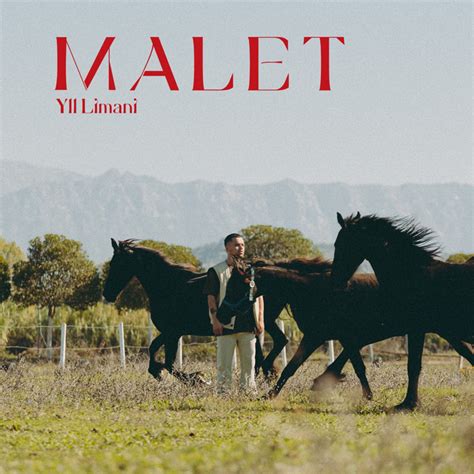 Malet Musik Und Lyrics Von Yll Limani Spotify