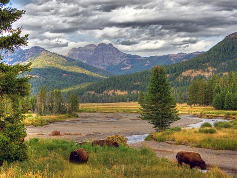 Yellowstone National Park Desktop Wallpapers 4k Hd Yellowstone