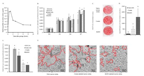 Ex Vivo Effects Of Hc In Murine Bone Cells A Hydroxyproline Kinetics