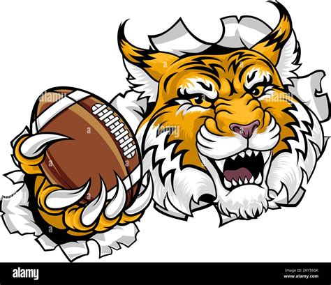 Wildcat Bobcat American Football Sport Team Mascot Stock Vector Image ...