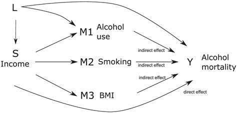 Joint Effects Of Alcohol Use Smoking And Body Mass Index As An Explanation For The Alcohol Harm