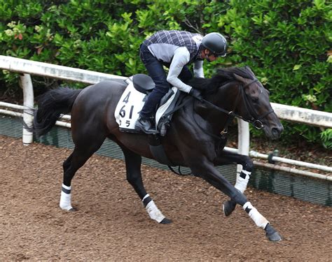 土曜メインレースの注目激走馬阪神11r鳴尾記念・g3 Umatoku 馬トク