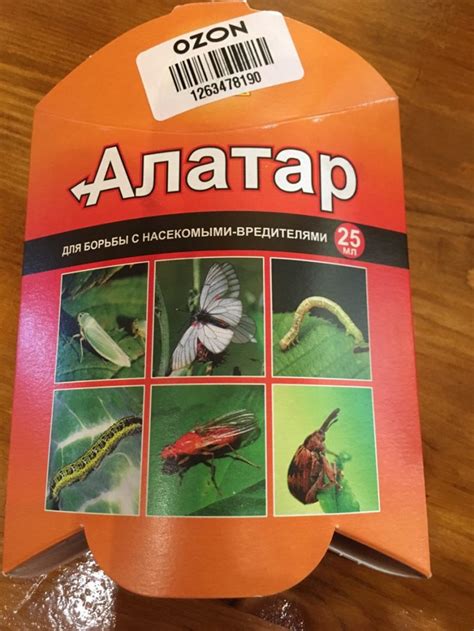 Алатар: инструкция, дозировки, меры безопасности, действие инсектицида ...