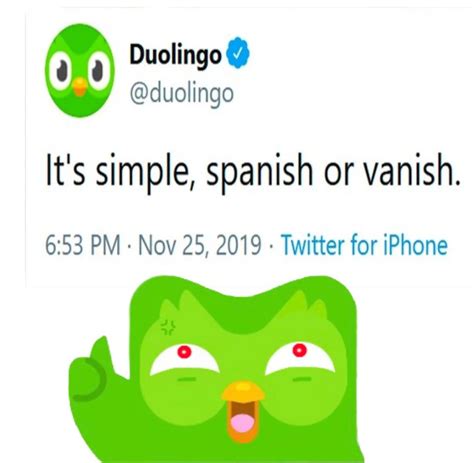 Duolingo your angry?..... : r/duolingomemes