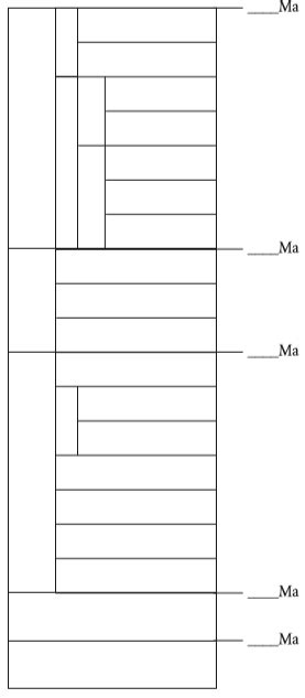 Simplified time scale Diagram | Quizlet