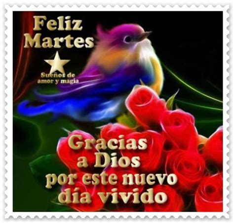 Feliz Martes Bellas Im Genes Y Frases P Gina De