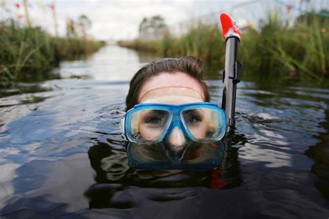 The Dangers Of Bog Snorkelling On A Train – DesertDivers