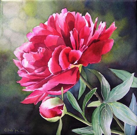 Rose Paintings and Flower Paintings in Watercolor and Oil | Peony ...