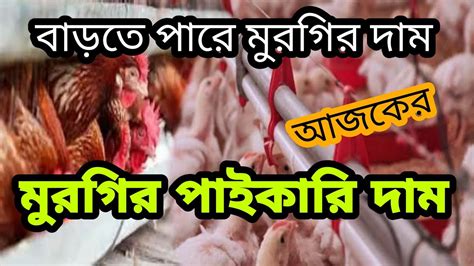 ৩ নভেম্বর ২০২২ 🐓 আজকের ব্রয়লার ও সোনালী কক মুরগির পাইকারি দাম। Ajker