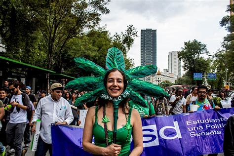 La Legalización Mexicana Del Cannabis Sería única En El Mundo La Dosis