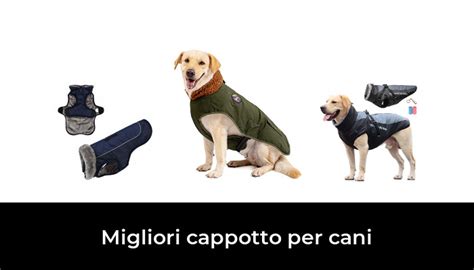 Migliori Cappotto Per Cani Nel Recensioni Opinioni Prezzi