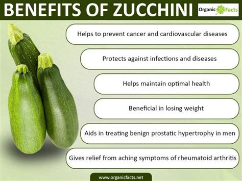 Zucchiniinfo Zucchini Health Benefits Zucchini Benefits Cancer