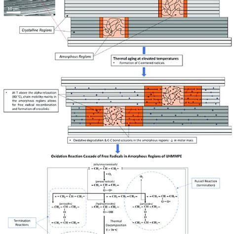 Thermal Oxidation Of Uhmmpe Fibers Schematic Of The Crystalline And