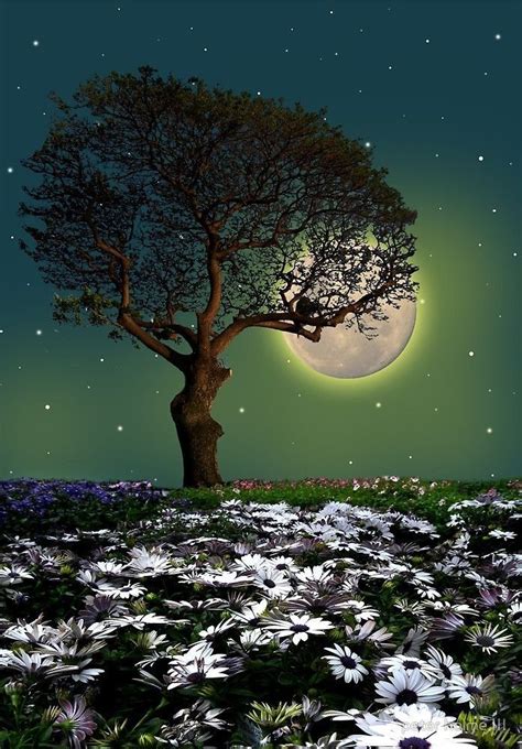 Pin by Jorge Conde on moon | Beautiful nature, Beautiful moon, Nature ...