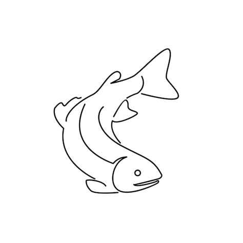 Premium Vector Salmon Fish Outline Illustration