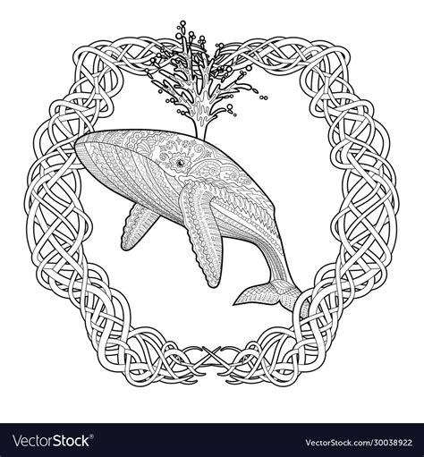 Coloring Pages For Adult With Blue Whale Vector Image