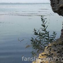 Cinderella Girl Nude OnlyFans Leaks Fapopedia