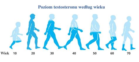 Terapia testosteronem dla mężczyzn Medycyna estetyczna