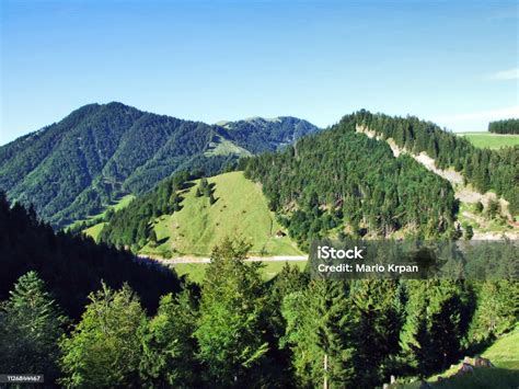 Subalpine Forests In The Ostschweiz Region Stock Photo Download Image