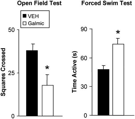 Galmic A Nonpeptide Galanin Receptor Agonist Affects Behaviors In